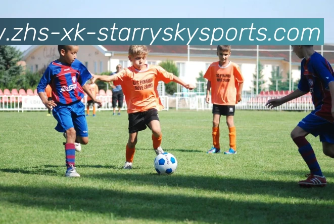 多媒体互动体验